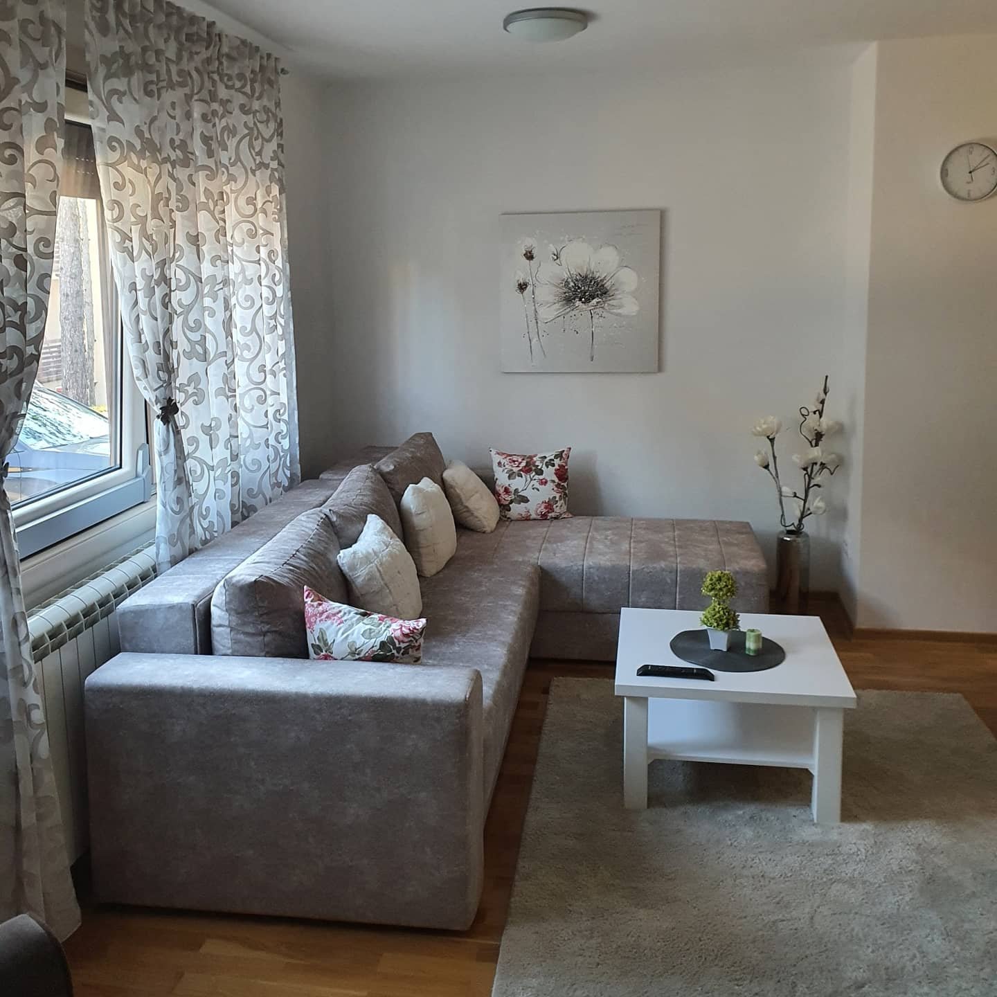 Golden Pine fotografija 12