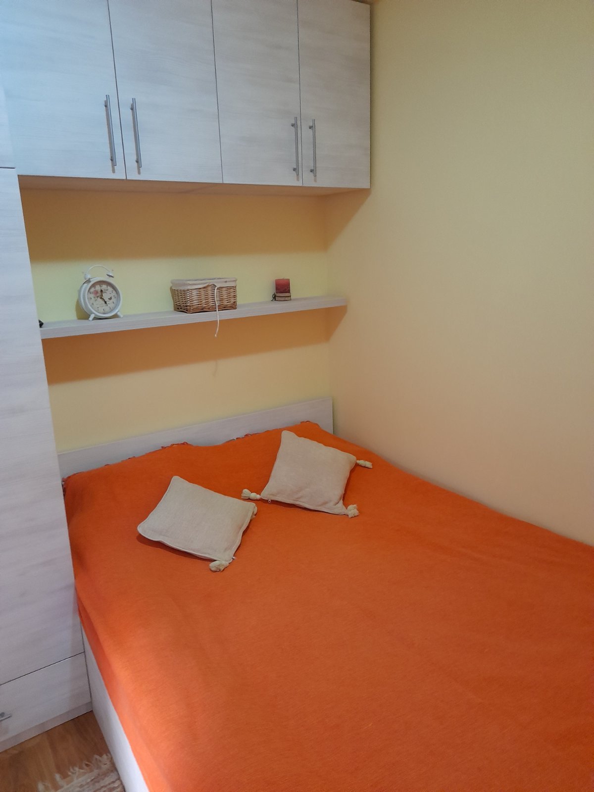 Golden Pine fotografija 17