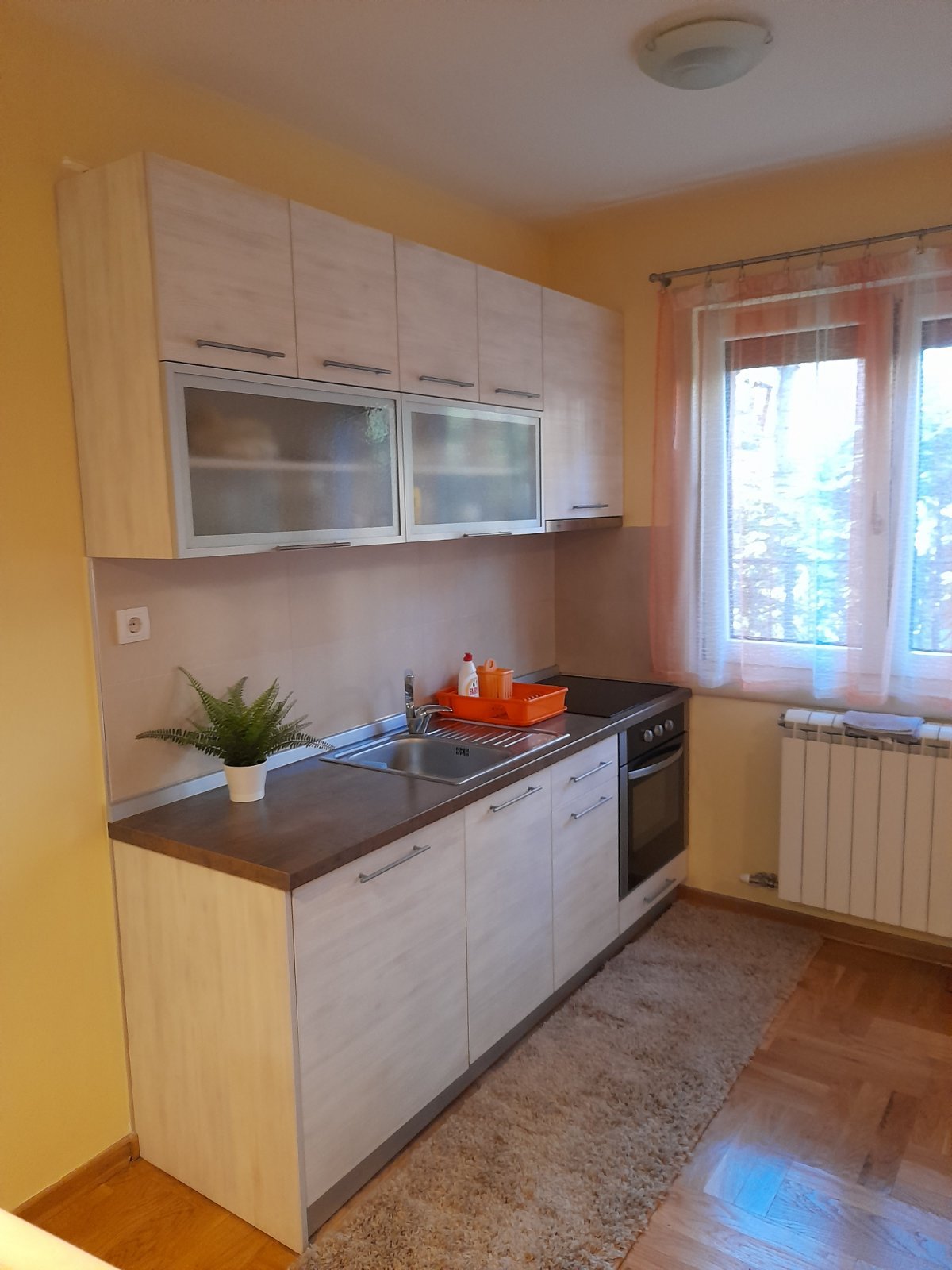 Golden Pine fotografija 23