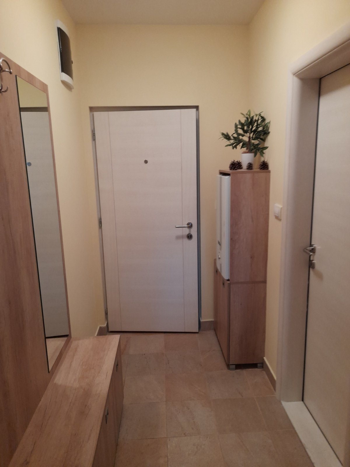 Golden Pine fotografija 28